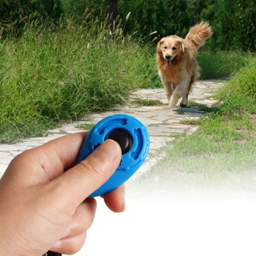 Vista 2 de SERYU 1 correa de muñeca para entrenamiento con clicker, para perros y mascotas, Negro -, Talla única