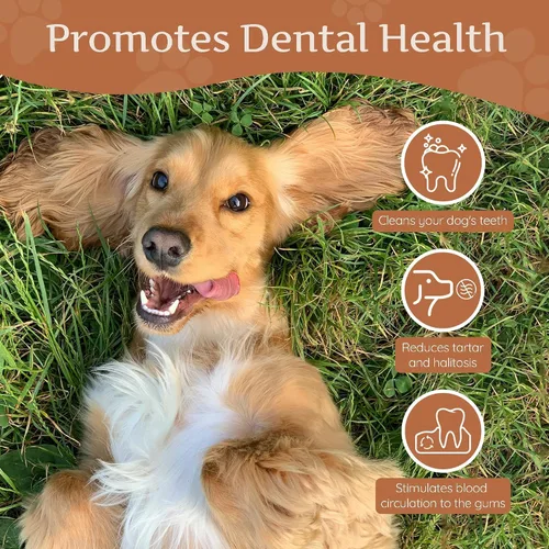 Vista 8 de Wildfang® Coffee Wood Masticable para Perros, Mediano - Juguetes Masticables Resistentes para Masticadores Agresivos, Juguetes de Dentición