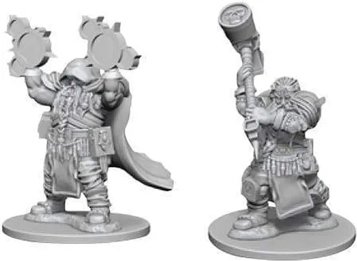 Vista 4 de D&D NMU: Paladín macho enano W4
