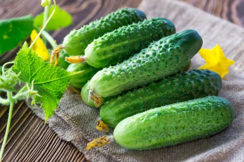 Vista 3 de Pepino Indoors F1 Vine Autopolinizada Vegetal Orgánico Sin OMG