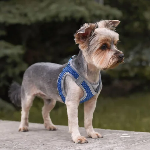 Vista 8 de KZA308 Arnés reflejante con cuello en V de malla para perro, sin jalones, facilita el paseo, ajuste rápido, cómodo, con velcro ajustable