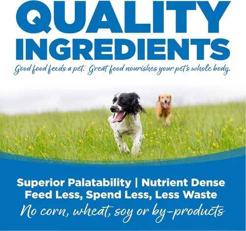 Vista 3 de NutriSource Alimento seco para perros adultos para razas grandes, pollo y arroz, 26 libras