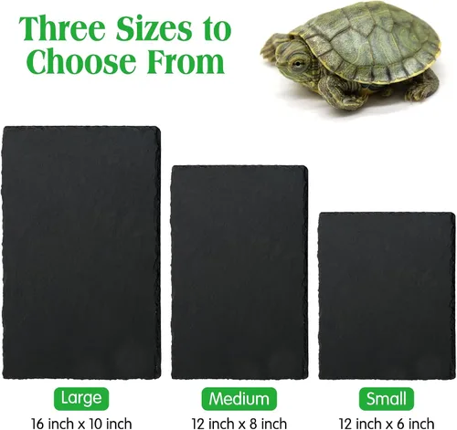Vista 2 de Tfwadmx Plataforma para tomar el sol de reptiles, plato de alimentación de tortuga, cuenco de comida de reptiles de roca natural, decoración