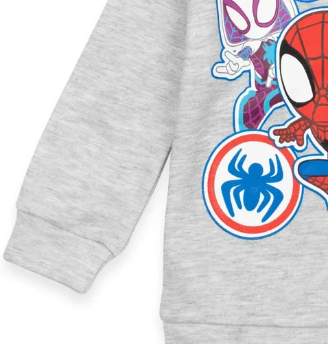 Vista 6 de Marvel Spidey and His Amazing Friends - Conjunto de sudadera con capucha y pantalones deportivos