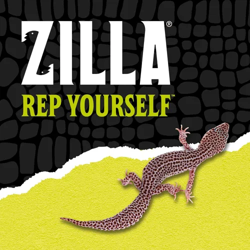 Vista 8 de Zilla hábitat para reptiles, decoración, roca, guarida, tamaño medio