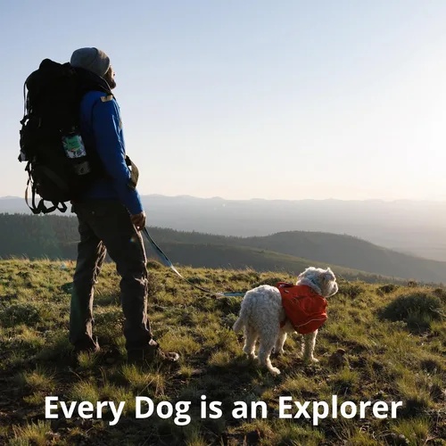 Vista 9 de Ruffwear, Load Up - Arnés de automóvil para perro, acolchado ajustable, sujeción de viaje con accesorio universal para cinturón de seguridad