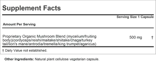 Vista 2 de ANDREW LESSMAN Wellness Mushroom Complex 30 cápsulas – Mezcla orgánica de espectro completo de 11 hongos – Apoya la salud y la vitalidad en general