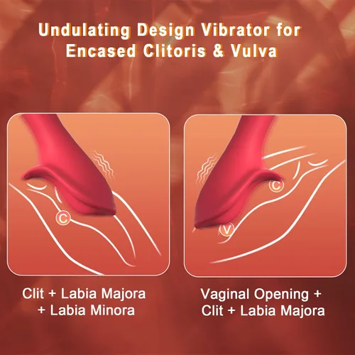 Vista 2 de Varita vibradora para mujer, juguetes sexuales 3 en 1, vibrador de clítoris, vagina y labio, estimulador de clítoris LCD, 9 vibraciones, bala