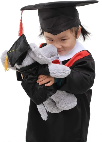 Vista 6 de Plushland Juguetes de peluche de cerdo, regalos para el día de graduación, texto personalizado, nombre o logotipo de tu escuela en el vestido, lo