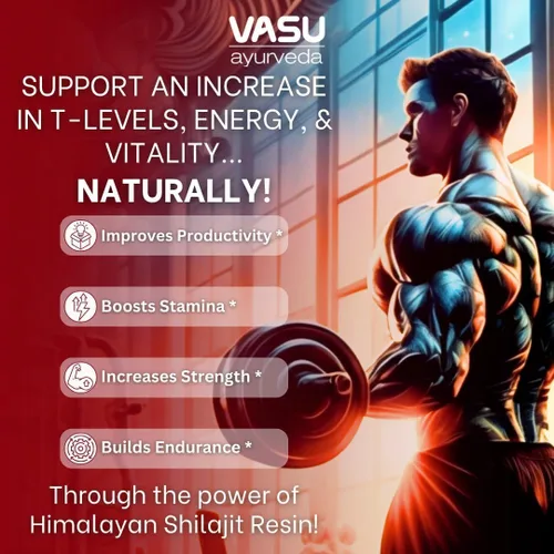 Vista 2 de Vasu Ayurveda Himalayan Shilajit Resina 400 mg – Potenciador de energía natural probado en laboratorio con ácido fúlvico y más de 85 minerales traza