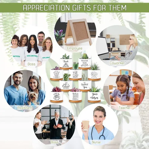 Vista 6 de Yaomiao 20 piezas de regalo de la semana de CNA, regalos de agradecimiento a los empleados, regalos de plantas suculentas a granel para mujeres