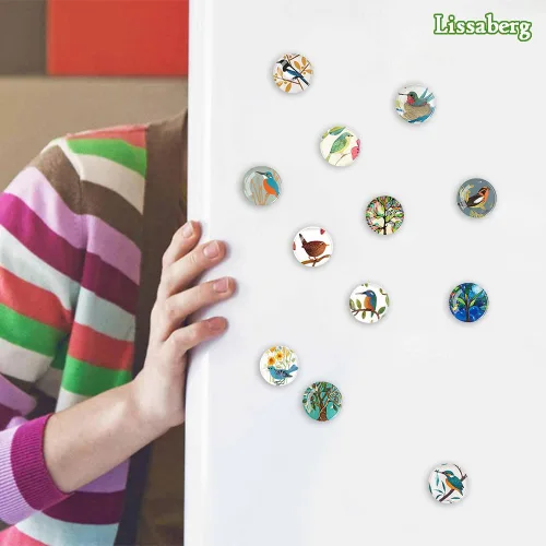 Vista 4 de 12 imanes de pájaros para refrigerador, imán redondo magnético de vidrio para decoración de nevera para taquilla, oficina escolar, pizarra blanca