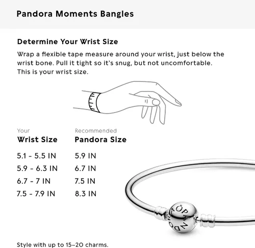 Vista 8 de Pandora - Pulsera de plata de ley con dije, Plata de ley, 19cm, 7.5 in, Plateado, 590713-19
