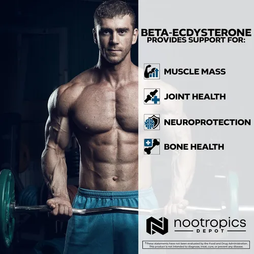 Vista 7 de Nootropics Depot Beta Ecdysterona/20-hidroxiecdisona 50% cápsulas 500mg Extracto de cianotis aracnoidea Fitoecdisteroide 30