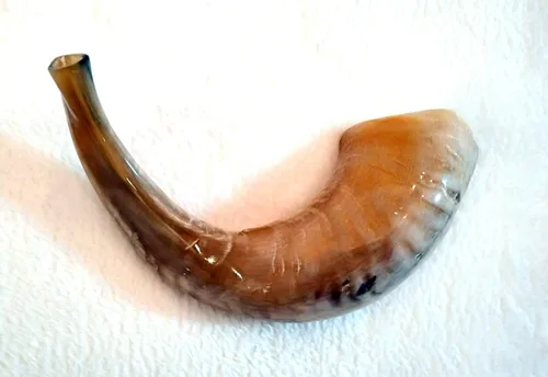 Vista 2 de El mejor regalo Evangélico Cristiano Aceite Unción Silver Rams Shofar Plus Botella de aceite Plus Chal de oración Plus Rams shofar Plus Cuerda roja