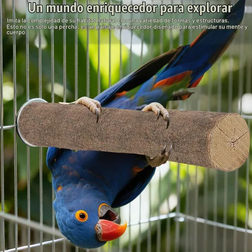 Vista 6 de Juego de 6 perchas para pájaros