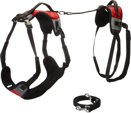 Vista 5 de Correa para perro Lift and Go, pequeña, color rojo