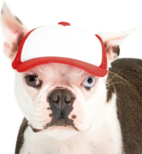 Vista 43 de DIY PupLid Trucker Hats (negro/blanco, XXS) - Sombrero de perro personalizable, lona en blanco para diseño personalizado, ajustable, protección