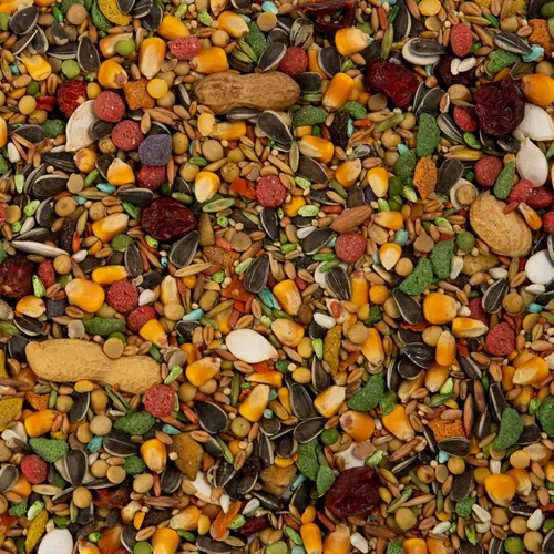 Vista 3 de Wild Harvest Advanced Nutrition - Loro de 4 libras, mezcla de semillas, granos y verduras