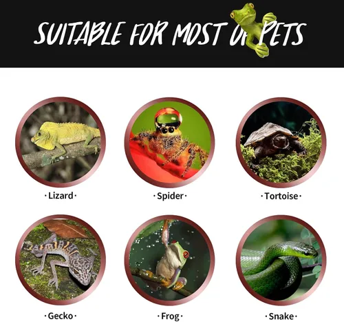 Vista 5 de Bombilla infrarroja para mascotas de 75 W, lámpara de calor de punto UVA para uso de reptiles y anfibios, Lagarto, tortuga, serpiente, camaleón