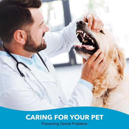 Vista 7 de Paquete de cepillos de dientes para perro, 2 cepillos de dientes de doble cabeza con mango largo + 1 kit de cepillo de dientes para perros