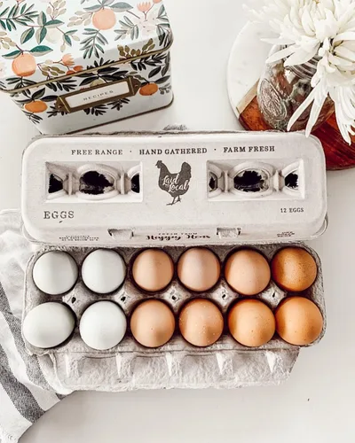 Vista 6 de Cartones de huevos impresos vintage, paquete de 90 cajas de cartón Henlay - Sostiene de forma segura una docena de huevos de pollo pequeños a XL