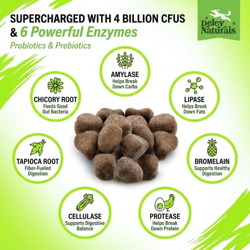 Vista 3 de Deley Naturals Probióticos masticables para perros – 4 mil millones de UFC probióticos para perros, prebióticos, enzimas para la digestión