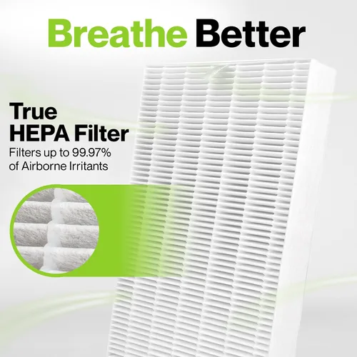 Vista 5 de Durabasics Paquete de 2 filtros HEPA compatibles con filtros de repuesto para purificador de aire Honeywell, repuesto para filtro Honeywell R