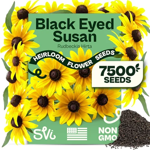 Vista 26 de Queen Anne 's Lace- 200 semillas – 50% de descuento venta