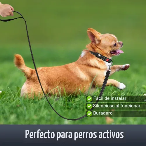 Vista 3 de Collar reflectante para perros pequeños con soporte de silicona