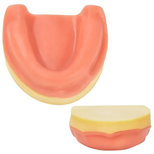 Vista 2 de Ultrassist Entrenamiento de implantes dentales Modelo edéntulo maxilar, maxilar simplificado con tejido suave, gran diente de entrenamiento