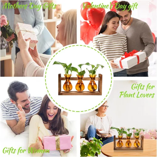 Vista 6 de Estación de Propagación de Plantas Terrario de Plantas Regalos Únicos de Cumpleaños para Mujeres Decoración para Hogar y Oficina Maceta con Soporte