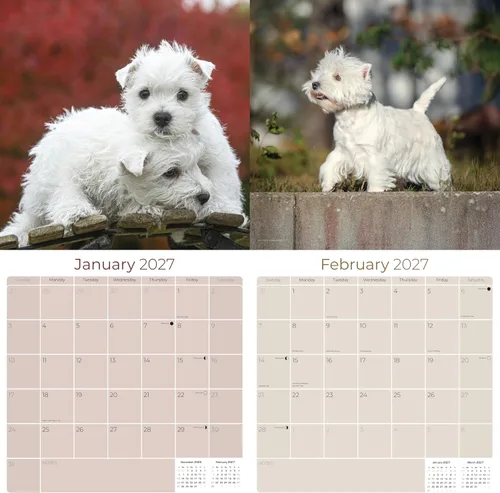 Vista 2 de Razas de Perros 2017