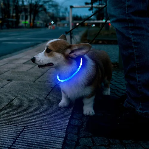 Vista 6 de Flashseen Collar de perro LED, collar iluminado brillante recargable por USB, cortable, resistente al agua, collar de seguridad de TPU con luces
