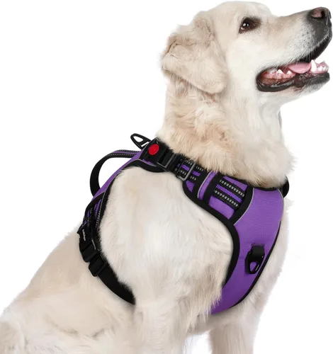 Vista 20 de rabbitgoo Arnés para perro de tamaño pequeño, arnés para mascotas sin tirones con mango acolchado suave, chaleco reflectante ajustable con 3