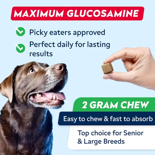 Vista 6 de Glucosamina avanzada para perros, colágeno y mejillón de labios verdes