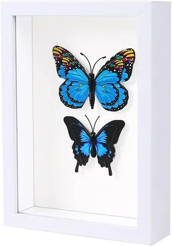 Vista 12 de KAPIX Pequeño marco de sombra 4x6 con plexiglás HD, caja de exhibición de madera profunda para flores, entradas, recuerdos, medallas, arte y fotos