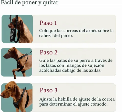 Vista 5 de Sporn Arnés para perro extra pequeño sin tirones, fácil y ajustable para cachorros en crecimiento, ligero, transpirable, nailon duradero, cuerpo