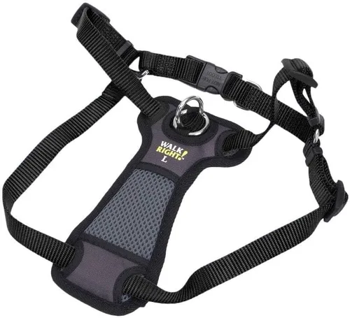 Vista 4 de Coastal Pet Walk Right - Arnés acolchado para perro con conexión frontal y sin tirones, ajustable y cómodo, ajuste para razas pequeñas y grandes