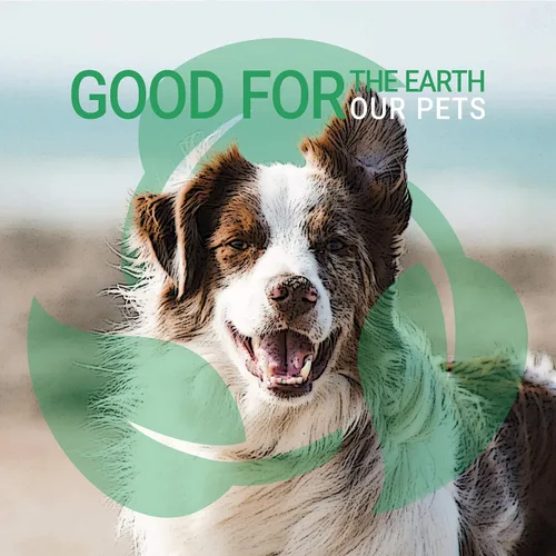 Vista 8 de Green Groom Champú para perros Plus acondicionador, 1 galón Todos los ingredientes naturales, desenreda y fortalece, renueva la humedad, 2 en 1