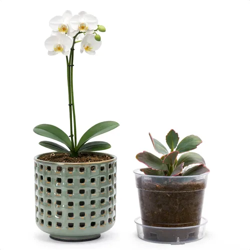 Vista 7 de D'vine Dev Orchid Pot, Clear Pot & Saucer, Smoked White, 6.7 in, 28-A-Y-1 Blanco ahumado