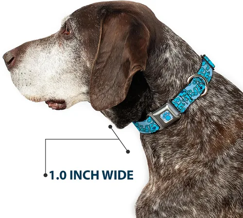 Vista 6 de Buckle-Down Collar de perro Hebilla de cinturón de seguridad Blues Clues Blue Poses dispersas 9.5 a 13 pulgadas 1.0 pulgadas de ancho