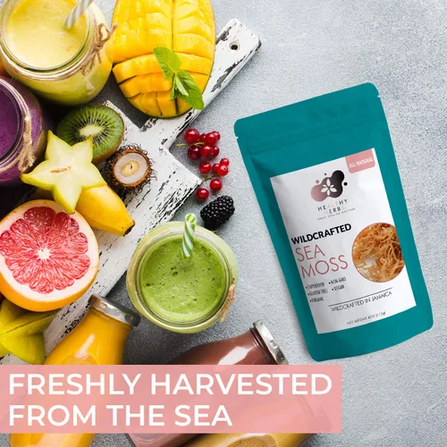 Vista 6 de Musgo marino – 4 onzas de superalimento crudo seco Seamoss, musgo marino natural de océano crudo rico en minerales, oro irlandés Seamoss crudo