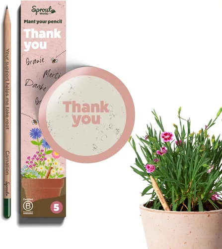 Vista 14 de Sprout Lápices de madera World Edición para profesores Lápices de madera plantables de grafito preafilados HB con semillas de flores, hierbas