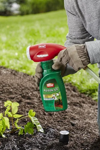 Vista 4 de The Scotts Ortho Max Poison Ivy Tough Brush Killer, 32 onzas