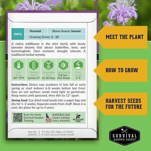 Vista 2 de Semillas de bálsamo de abeja para plantar, bergamota silvestre (Monarda Fistulosa), flores silvestres nativas perennes y hierbas medicinales