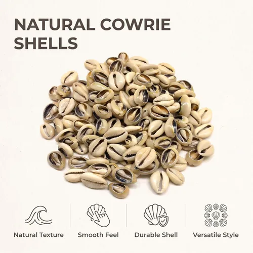 Vista 4 de 100 cuentas de conchas de cauri naturales blancas y Lvory ovaladas para playa, conchas africanas para hacer joyas para el cabello, manualidades