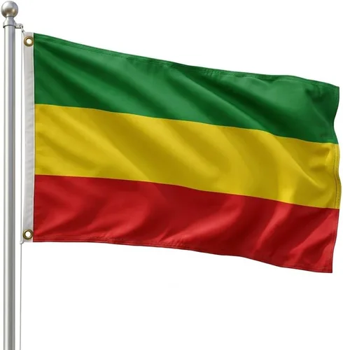 Vista 26 de DMSE - Bandera nacional beninesa beninesa de la República de África Occidental, 2 x 3 pies, 100 % poliéster, 100 % poliéster, resistente a los rayos