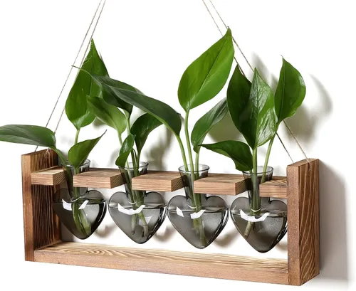 Vista 7 de Estaciones de propagación de plantas, kit de terrario de plantas de corazón, regalo para mujeres, amantes de las plantas, jarrones de vidrio Ámbar