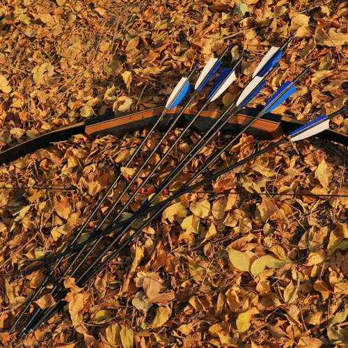 Vista 7 de LWANO Flechas de Carbono de 30" - Flechas de Tiro con Arco para Práctica de Tiro al Blanco y Caza con Plumas de Pavo de 4" Spine 500 para Arco